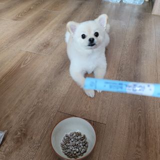 ㅈㅇ공쥬님이 올린 리뷰 사진 1