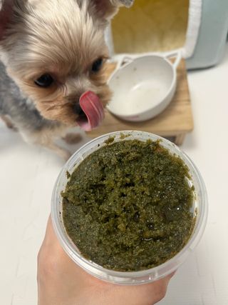꿀님이 올린 리뷰 사진 1