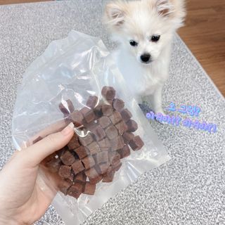 My Pet Care 천연단백질 눈건강에 개좋아 — 5점을 준 리뷰어가 2021년 3월 올린 사용 사진