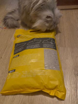 겟플렉스 켓플렉스 캣츠룸BS-1 고양이모래 4kg — 4점을 준 리뷰어가 2021년 1월 올린 사용 사진