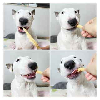 콩콩님이 올린 리뷰 사진 4