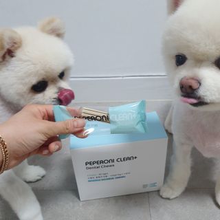 페페로니 클린플러스 덴탈치킨껌 10g x 14p — 4점을 준 리뷰어가 2021년 7월 올린 사용 사진