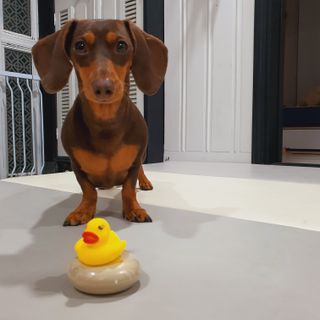 이쁘콩님이 올린 리뷰 사진 3