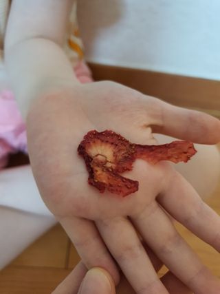 아비삭과일칩 5종 /딸기,사과,배,귤,무화과 5종 — 5점을 준 리뷰어가 2021년 5월 올린 사용 사진