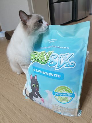 행운의집 실키식스 9kg 크린 언씬티드 프리미엄 고양이모래 — 5점을 준 리뷰어가 2021년 3월 올린 사용 사진