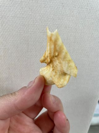 아비삭과일칩 5종 /딸기,사과,배,귤,무화과 5종 — 5점을 준 리뷰어가 2021년 4월 올린 사용 사진