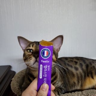필리브 엘라스틴 더 리프트 — 5점을 준 리뷰어가 2021년 9월 올린 사용 사진