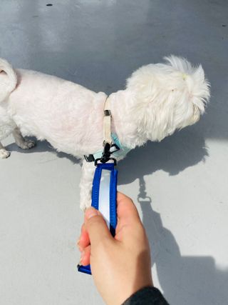 해바라기햇님님이 올린 리뷰 사진 2
