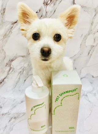 Lily님이 올린 리뷰 사진 1