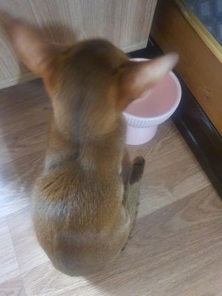 olvelynn님이 올린 리뷰 사진 3