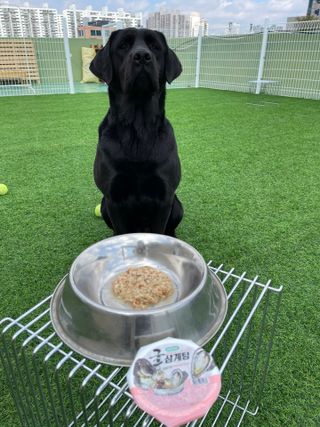 바니짱님이 올린 리뷰 사진 2