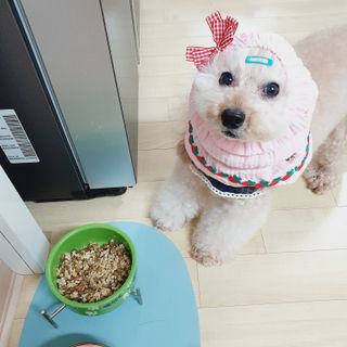 미니코코님이 올린 리뷰 사진 3