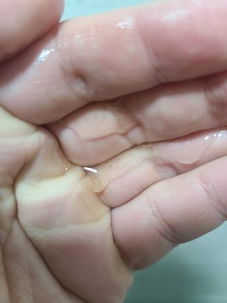 와프랩 운동하는 여성을 위한 더블유 미세먼지 세정 약산성 천연유래 샴푸 — 5점을 준 리뷰어가 2022년 3월 올린 사용 사진