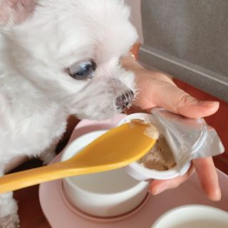 정이님이 올린 리뷰 사진 3