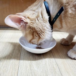 수경이야님이 올린 리뷰 사진 3
