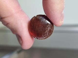 주원님이 올린 리뷰 사진 2