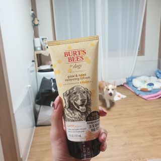 샤넬젤라님이 올린 리뷰 사진 3