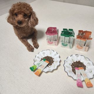 산이네ෆ˙ ᵕ ˙ෆ님이 올린 리뷰 사진 4