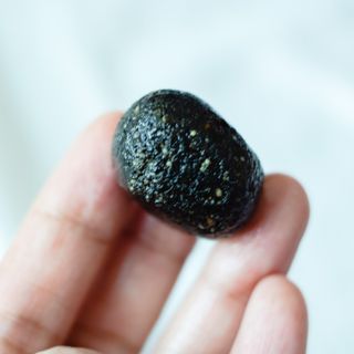 2019yaap님이 올린 리뷰 사진 2