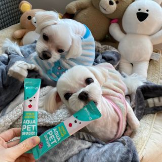 Kongeunji님이 올린 리뷰 사진 1