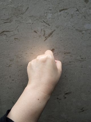 바이오오일 [바이오-오일] 스킨케어 오일 내추럴 60ml — 5점을 준 리뷰어가 2021년 10월 올린 사용 사진