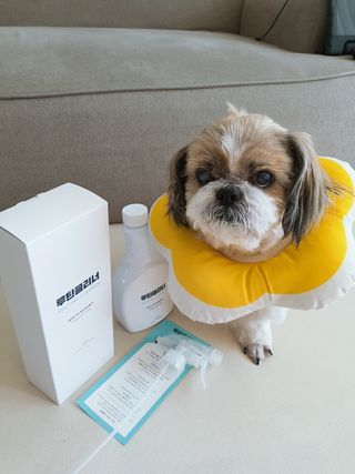 민우다빈이맘님이 올린 리뷰 사진 4