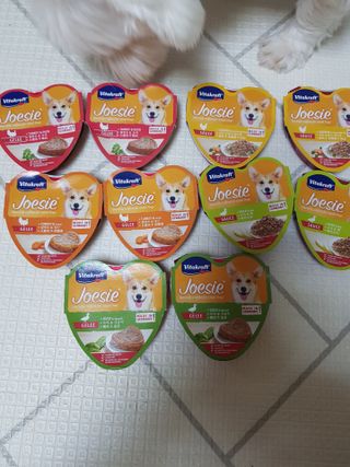 비타크래프트 조에시 하트캔 85g 강아지 습식캔 10캔 — 5점을 준 리뷰어가 2021년 8월 올린 사용 사진