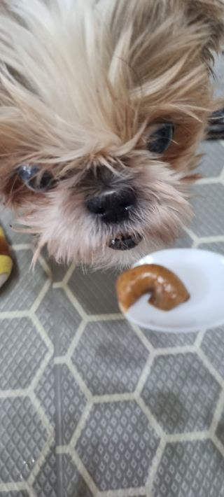 진쓰님이 올린 리뷰 사진 4