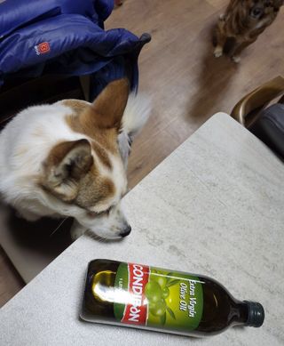 오둥이맘님이 올린 리뷰 사진 1