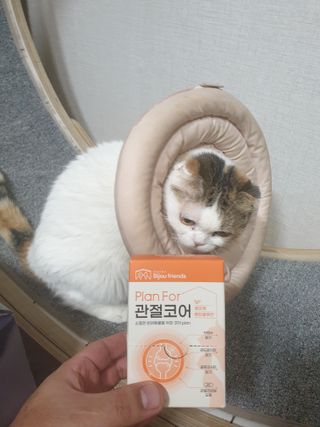 비쥬프렌즈 플랜 포 관절코어 — 5점을 준 리뷰어가 2022년 9월 올린 사용 사진