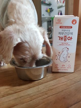 My Pet Care 모발과 모질 피부건강에 개좋아 — 4점을 준 리뷰어가 2021년 4월 올린 사용 사진