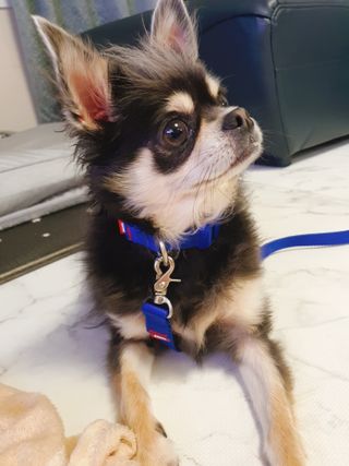애월님이 올린 리뷰 사진 1