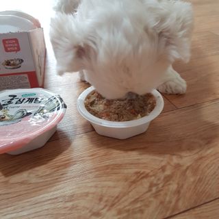 지니야님이 올린 리뷰 사진 3
