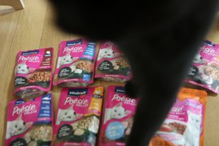 비타크래프트 포에시 델리스 고양이 파우치 85g 9가지맛 1팩씩 — 5점을 준 리뷰어가 2021년 8월 올린 사용 사진