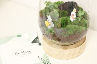 취미부자님이 올린 리뷰 사진 2
