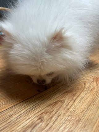 바이미브로우님이 올린 리뷰 사진 3