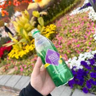 몽베스트 Montbest with Sparkling water Lemon OR Lime 20병(랜덤) — 5점을 준 리뷰어가 2022년 11월 올린 사용 사진