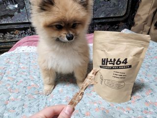 [보헤리] 국내산 강아지 육포간식 바삭 64 2종 — 4점을 준 리뷰어가 2022년 4월 올린 사용 사진