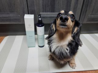 5_daks님이 올린 리뷰 사진 3