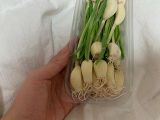 아기피부님이 올린 리뷰 사진 3