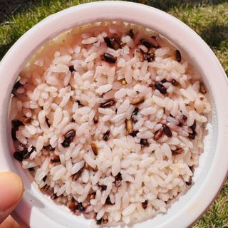 [구매평]양반 동원 양반 100밥 흑미밥, 130g, 12개 — 5점을 준 리뷰어가 2025년 4월 올린 사용 사진