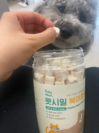 [펫시밀] 원물그대로 영양듬뿍 진공동결건조 북어트릿75g,치킨트릿100g,연어트릿75g 강아지 고양이 간식 — 5점을 준 리뷰어가 2023년 5월 올린 사용 사진