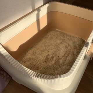 겟플렉스 켓플렉스 캣츠룸BS-1 고양이모래 4kg — 5점을 준 리뷰어가 2021년 1월 올린 사용 사진