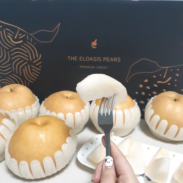 엘로아시스 수출용 특품 신고배 선물세트 5KG 리뷰 사진