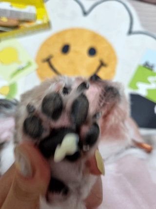 clarawon님이 올린 리뷰 사진 3