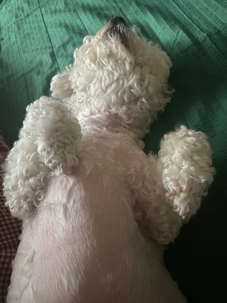 갱스님이 올린 리뷰 사진 3