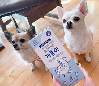 uc9v0shedk님이 올린 리뷰 사진 2