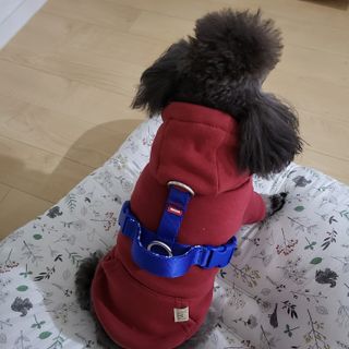 미니유님이 올린 리뷰 사진 2