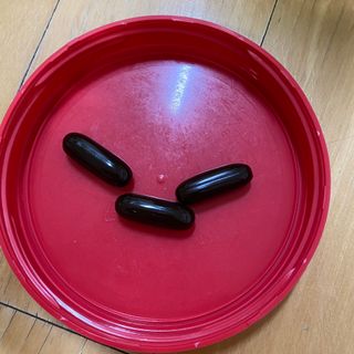 Swisse 스위스 고함량 프로폴리스 2,000mg 210정 — 5점을 준 리뷰어가 2021년 11월 올린 사용 사진