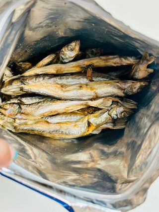 [펫시밀] 원물그대로 영양듬뿍 동결건조 왕북어트릿300g,왕치킨트릿400g,열빙어트릿300g 대용량 간식 — 5점을 준 리뷰어가 2023년 5월 올린 사용 사진